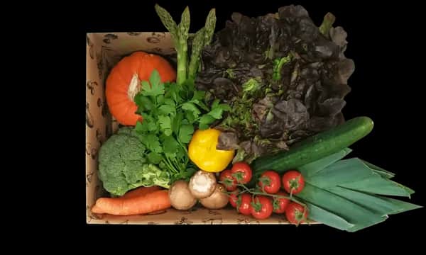 Ferdl's Bio Gemüse-Packerl