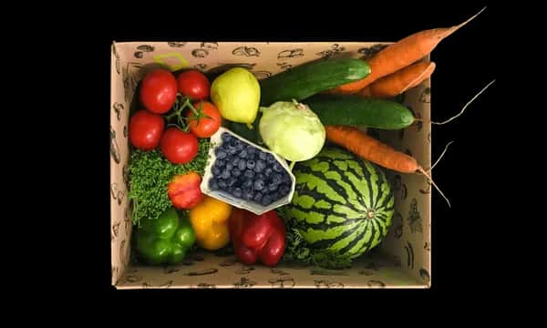 Ferdl's Bio Jausn Packerl