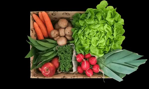 Ferdl's Bio Regional Packerl