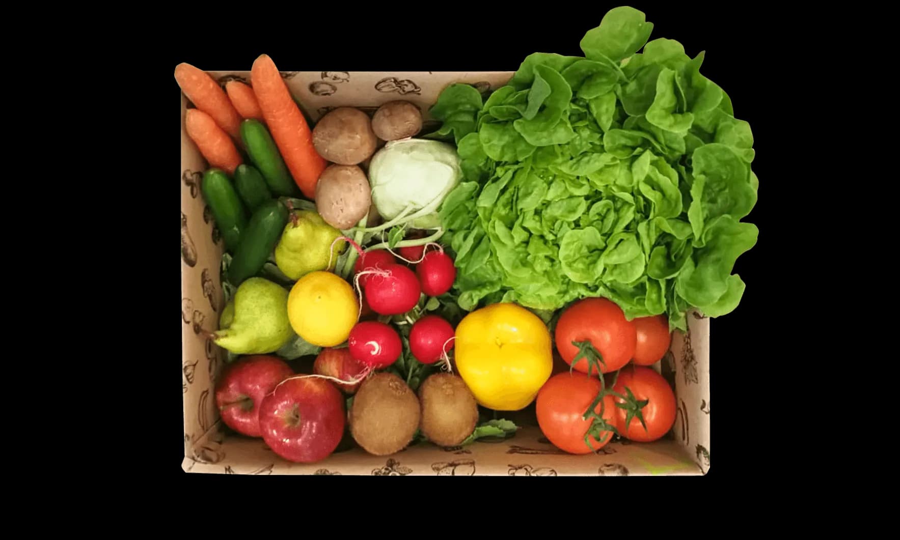 Ferdl's Bio Obst & Gemüse Packerl