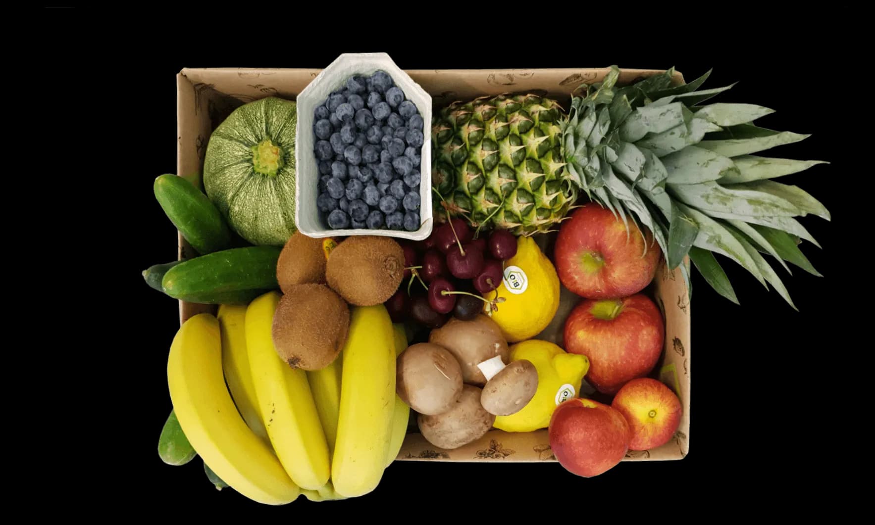 Ferdl's Bio Sommer Packerl