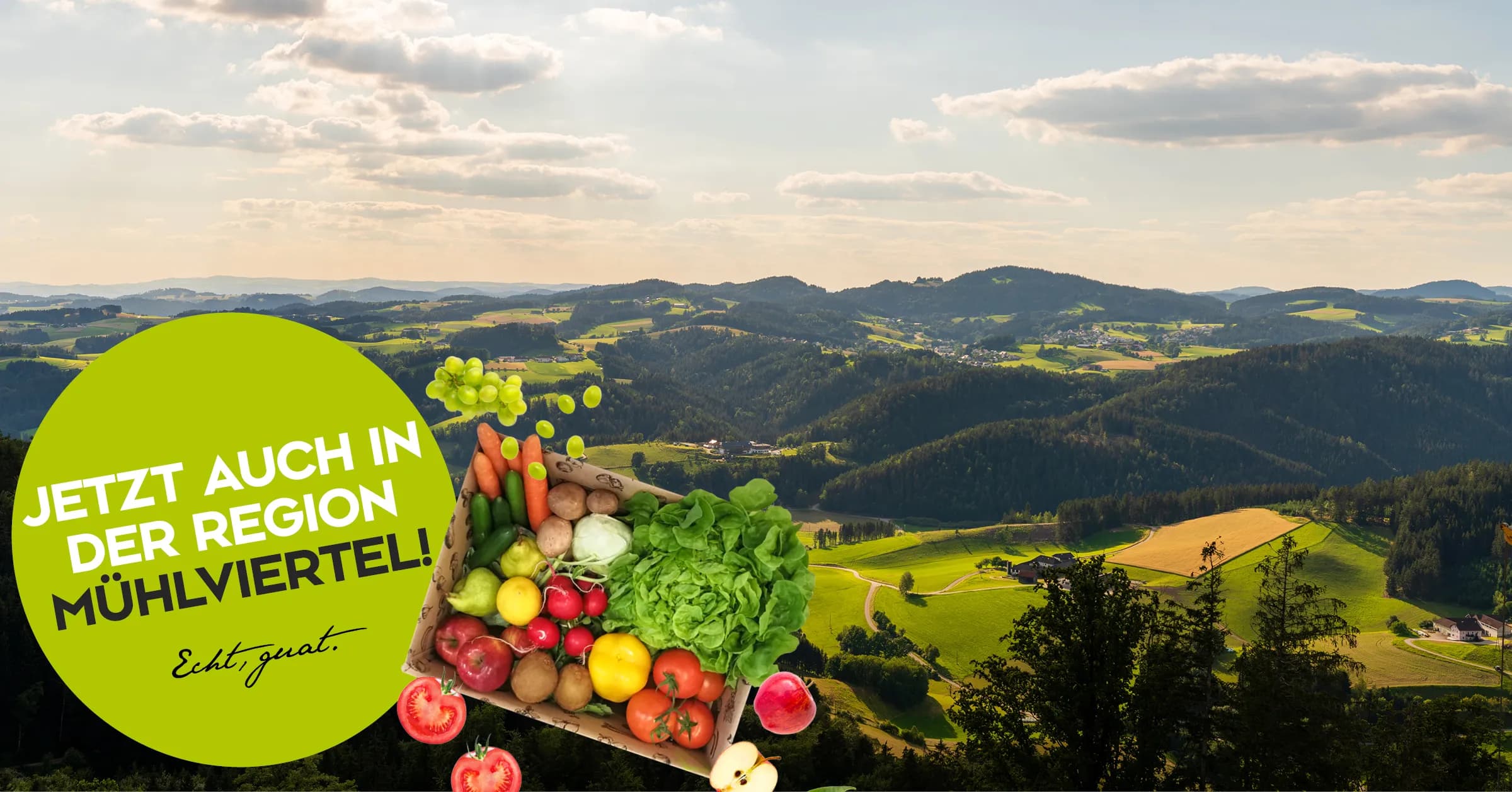 Bio Obst und Gemüse Kiste online Abo bestellen und kaufen im Mühlviertel